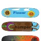 Skateboard Deck Design Series, student example 66